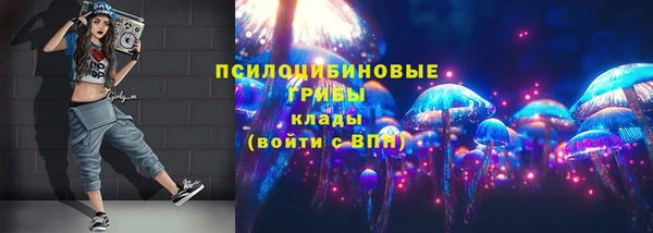 гидра Липки