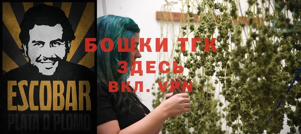 PSILOCYBIN Аркадак
