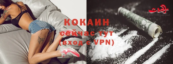 дмт Армянск